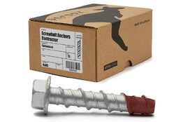 Screw Bolts Contractor Gal 20 x 200mm box 10