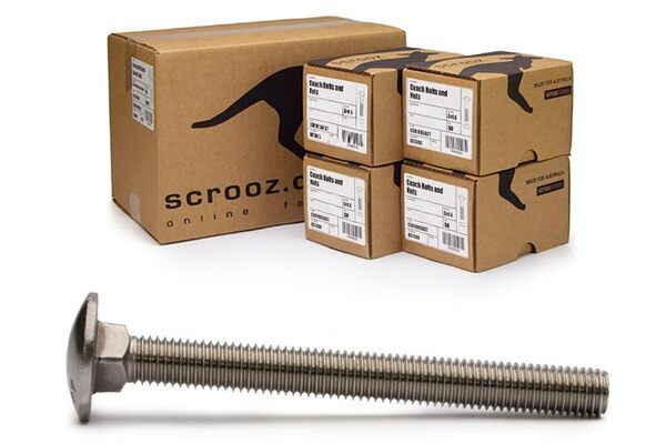 M6 x 20mm coach bolts 316 stainless carton 400