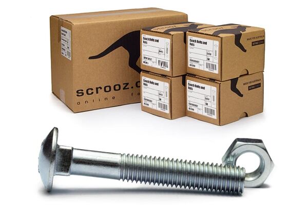 M6 x 20mm coach bolts and nuts zinc carton 400