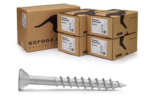 Multi Purpose Gal Screws 10g x 100mm Carton 2000