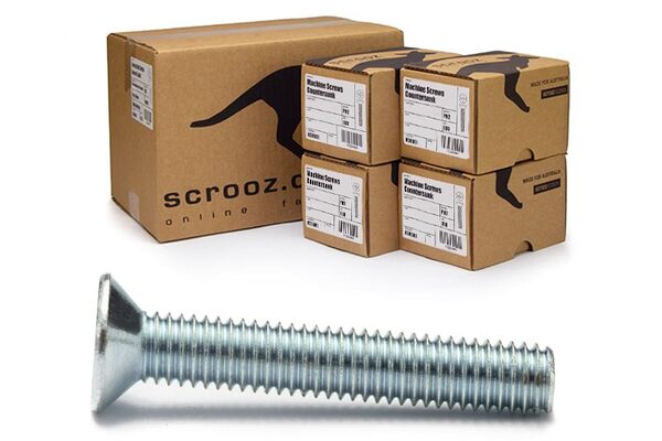 M2 x 5mm machine screws csk zinc ctn 1000