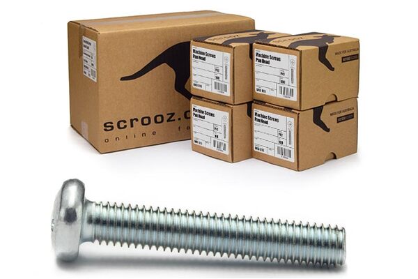 M2 x 12mm machine screws pan head zinc ctn 1000