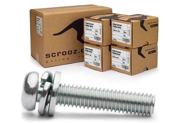 M5 x 20mm Sems Screws PH2 Carton 1000