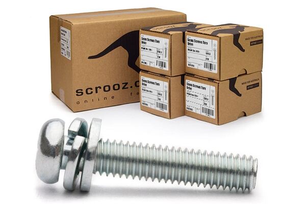 M3 x 6mm Sems Screws Torx Carton 1000