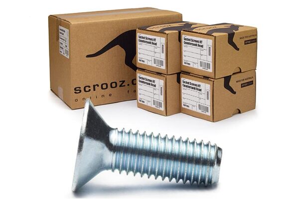 M6 x 25 CSK Socket Screws BZP Carton 800