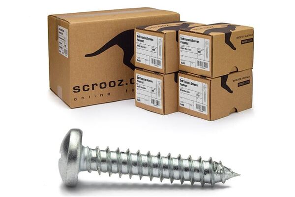 10g x 16mm Self Tapping Screws PAN BZP CTN 4000